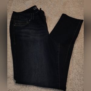 Layne Bryant Jeggings